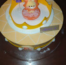 元祖（GANSO）8號獅子座蛋糕800g 動(dòng)物奶油星座蛋糕 生日蛋糕同城配送當(dāng)天送達(dá) 曬單實(shí)拍圖