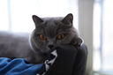 索尼（SONY）FE 50mm F1.4 GM 全畫幅大光圈定焦G大師鏡頭 人像攝影(SEL50F14GM) 曬單實(shí)拍圖