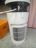 美的（Midea）小山竹寵物空氣凈化器吸貓毛搭子除甲醛異味過敏源 衛(wèi)健委備案 殺菌消毒機(jī)PET600【家電國家補(bǔ)貼】 曬單實(shí)拍圖