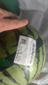【產(chǎn)地直采】麒麟奶油西瓜 約4.5kg 曬單實拍圖