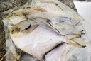森農樂(lè )舟山銀鯧魚(yú)生鮮特大白鯧魚(yú)鮮活野生新鮮冷凍海鮮昌扁魚(yú)平魚(yú)海魚(yú) 150-200g/條【當季野生 4條裝】 曬單實(shí)拍圖