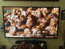 索尼（SONY）2025新品 X90L升級(jí)款 75英寸 索尼電視5系 MiniLED XR芯片 K-75XR50 一級(jí)能效 國(guó)家補(bǔ)貼 曬單實(shí)拍圖