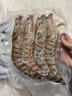 野生花蝦特大斑節蝦九節蝦基圍蝦大蝦竹節蝦黑虎蝦海蝦明蝦鮮活 500g(凈重)  鮮蝦速凍《1斤4-5條》23-25cm 曬單實(shí)拍圖