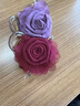 向晚 發(fā)夾玫瑰花抓夾女高級感發(fā)卡花朵發(fā)夾后腦勺盤(pán)發(fā)鯊魚(yú)夾子頭飾 曬單實(shí)拍圖