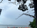 太力吸盤掛鉤免打孔強力真空上墻掛毛巾浴室衛(wèi)生間廚房無痕掛鉤4件裝 曬單實拍圖