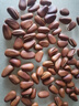 京東京造東北手剝紅松子500g 每日堅果干果罐裝堅果松子 曬單實(shí)拍圖