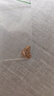 謝瑞麟（TSL）七夕禮物18k金鉆石項鏈女鉆石彩金鎖骨鏈套鏈BB408 曬單實拍圖