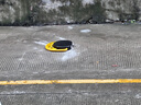 固質(zhì)車位鎖地鎖自動感應(yīng)智能遙控加厚防水抗壓停車位地樁鎖防占用工具 標(biāo)準(zhǔn)款干電池+2個遙控 曬單實拍圖