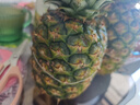 佳農(nóng) 菲律賓進口菠蘿 2個裝 鳳梨 單果凈重2斤 新鮮水果 源頭直發(fā)   曬單實拍圖