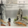 森森（SUNSUN）魚缸過(guò)濾器壁掛式抽水泵外置小型過(guò)濾桶YBG-400 5W 曬單實(shí)拍圖