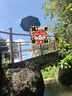 八海鳥(niǎo)防曬傘自動(dòng)晴雨兩用隔熱雨傘太陽(yáng)傘便捷防紫外線(xiàn)遮陽(yáng)五折自動(dòng) 曬單實(shí)拍圖