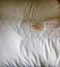 紅豆羊絨蛋白枕頭護頸枕睡眠頸椎病深度睡眠專(zhuān)用枕芯48*74中枕一只藍 曬單實(shí)拍圖