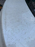 汽車(chē)洗車(chē)液漆面強力去污蟲(chóng)膠樹(shù)膠去除劑柏油樹(shù)脂鳥(niǎo)屎泡沫清潔神器 1瓶 蟲(chóng)膠清除劑380ml 曬單實(shí)拍圖