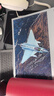 京東典藏禮盒版：空天利劍 中國戰機圖志+“飛龍在天”徽章兩用冰箱貼三枚+殲-35空天藍帽（盒裝）  央視軍事、國防工業(yè)、藍天出版社聯(lián)合推出 “最美的書(shū)”設計師周偉偉傾力打造 曬單實(shí)拍圖
