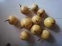 廣西欽蜜9號黃金百香果萬澄當(dāng)季新鮮大果黃皮果奶茶店水果 【1斤 約11-17個】單果30-45g 曬單實拍圖