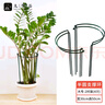 九千谷 植物支撐架支撐支架園藝花架陽臺爬藤護葉半圓30*50CM 2對裝6416 曬單實拍圖