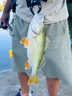 達億瓦（DAIWA）22新款SALAMANDURA MX 火蜥蜴路亞竿翹嘴鱸魚(yú)桿 遠投竿 2.13m S70M-2（直柄） 曬單實(shí)拍圖