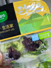 一號農(nóng)場活力蔬菜沙拉碗6種蔬菜開盒即食輕食健身代餐160g*3碗源頭直發(fā) 曬單實(shí)拍圖
