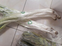 彩虹雨 北京農(nóng)場(chǎng)有機(jī)鮮蔥大蔥250g 歐盟認(rèn)證 有機(jī)蔬菜生鮮自有農(nóng)場(chǎng)新鮮 大蔥250g 曬單實(shí)拍圖