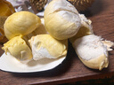 沃朗森醫(yī)用洗面奶控油祛痘除螨蟲去黑頭潔面慕斯修復(fù)皮膚屏障受損修護乳 曬單實拍圖