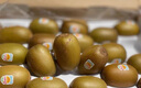 佳沛（zespri）綠奇異果 優(yōu)選大果12粒單果約113-135g  水果禮盒 獼猴桃 曬單實(shí)拍圖
