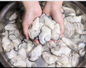 鮮活人生冷凍生蠔肉牡蠣肉 凈重1000g 去殼純肉海蠣子深海生鮮火鍋食材 曬單實(shí)拍圖