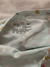 紅豆兒童內(nèi)褲男女童7A抗菌平角短褲青少年四角褲聚乳酸N050-6 120 曬單實(shí)拍圖