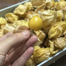 京鮮生 姑娘果/燈籠果  1斤裝 生鮮水果 曬單實(shí)拍圖