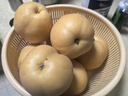 京地達山東萊陽(yáng)秋月梨8斤單果400g+新鮮水果脆甜梨子大果源頭直發(fā)包郵 曬單實(shí)拍圖