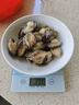 免清理 新鮮鮑魚肉速凍 去牙去殼鮮活鮑魚現(xiàn)剝新鮮鮑魚肉商用 三去新鮮鮑魚肉400g/包（22-26只） 曬單實(shí)拍圖