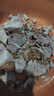 國產(chǎn)新鮮現(xiàn)殺牛腱子肉  牛肉生鮮 無注水 鹵煮燉食材 5斤【送料包】 曬單實拍圖