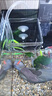 爬將軍魚(yú)缸喂食器魚(yú)食投喂器養(yǎng)育神器小魚(yú)防飄散喂食器魚(yú)缸自動(dòng)喂食器 升級(jí)版喂食器 曬單實(shí)拍圖