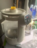 志高（CHIGO）電熱水瓶 恒溫電熱水壺多段保溫家用桌面臺(tái)式小型飲水燒水一體機(jī)3L大容量玻璃燒水壺  RC-K30A 曬單實(shí)拍圖