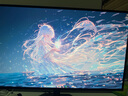 技嘉（GIGABYTE）27寸 第四代W-OLED電競(jìng)顯示器 魔鷹Q280G 2K280Hz/0.03ms/TrueBlack500/1500nit/戰(zhàn)術(shù)輔助MO27Q28G 曬單實(shí)拍圖