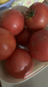 京鮮生沙瓤粉西紅柿 凈重3斤 單果100g+果菜兩吃 源頭直發(fā) 【搜生鮮館】 曬單實拍圖