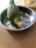 開(kāi)元面包蟲(chóng)干八哥鸚鵡鳥(niǎo)食飼料鷯哥零食蘆丁雞倉鼠零食龜糧食金絲熊 曬單實(shí)拍圖