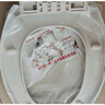 潛水艇馬桶蓋通用坐便器蓋子家用加厚蓋板老式抽水馬桶圈器配件緩降 U型耐壓長(zhǎng)底座快拆款MG3 曬單實(shí)拍圖