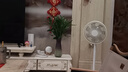【富貴竹】水培節節高室內綠植客廳招財植物鮮花卉好養常綠七夕 綠色水培富貴竹60cm10枝 曬單實(shí)拍圖