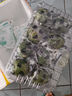 京鮮生 海南大青檸/青檸檬 8粒 單果約70-100g  生鮮水果 曬單實拍圖