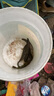 漁之源魚竿碳素冬釣釣魚竿輕量手竿休閑野釣臺(tái)釣竿小蜻蜓溪流竿 4.5m 曬單實(shí)拍圖