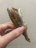 春江月香酥小黃魚(yú)酥干即食烤魚(yú)片黃花魚(yú)海味零食青島特產(chǎn)休閑零食旗艦店 【約62條】原香味小黃魚(yú)1大包 曬單實(shí)拍圖