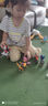 汪汪隊變形狗狗加萊德隊長(cháng)玩具套裝汪汪隊兒童小孩玩具回力車(chē)全套 6只大號變形狗狗送萊德隊長(cháng)(禮盒 曬單實(shí)拍圖