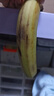 高山精品甜蕉現(xiàn)摘新鮮水果香蕉孕婦寶寶輔食搭配丫丫生鮮特產(chǎn) 2斤帶箱裝【青蕉發(fā)貨】 曬單實(shí)拍圖