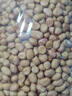 白沙花生米農(nóng)家新貨不帶殼大顆粒新鮮干貨花生仁散裝商用家用 新貨花生米【大顆?！?1000g 曬單實(shí)拍圖