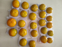 京鮮生 山西巧克力甜脆柿 凈重8-8.5斤 單果100g+ 生鮮水果源頭直發(fā)包郵 曬單實(shí)拍圖