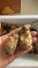 京地達 云南香格里拉鮮松茸6-8cm凈重500g未開(kāi)傘新鮮菌菇源頭直發(fā)包郵 曬單實(shí)拍圖