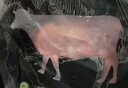 天萊香牛有機(jī)健康牛腿肉500g可溯源低溫排酸生鮮牛肉新疆清真【真原切】 曬單實(shí)拍圖