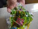 山東純手工粗糧雜糧饅頭早餐全麥?zhǔn)w麥五谷減肥主食 6個(gè)裝 6種口味各1個(gè) 曬單實(shí)拍圖