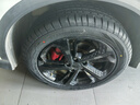 玲瓏輪胎215/55R18 99V 玲瓏臻選 SD 適配創(chuàng  )酷/指南者 曬單實(shí)拍圖