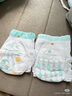 名典泰迪山茶花拉拉褲XXL72片【29-34斤】嬰兒尿不濕超薄透氣尿褲男女通用 曬單實(shí)拍圖